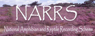 NARRS banner logo