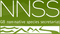 N.N.S.S. - logo
