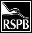 R.S.B.P. - logo