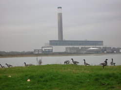 Photo 1 / 2 - Brent Geese and Fawley Power Station, Nov 2014