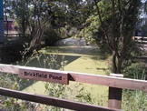 Photo 2 / 3 - Brickfield Pond, 2014