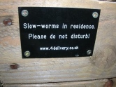Photo 1 / 3 - Slow-worm - Compost Sign