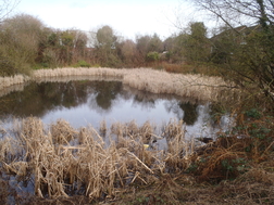 Photo 1 / 2 - Stones Road Pond, March 2012