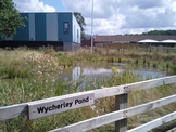 Photo 3 / 3 - Wycherley Pond, 2014