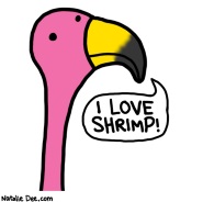 Flamingos Love Shrimp (cartoonist: Natalie Dee)