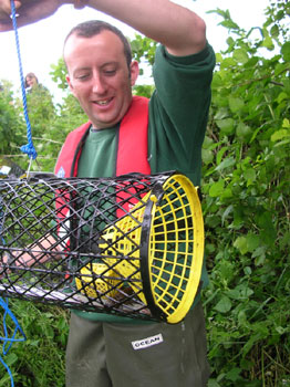 Environment Agency training, captured crayfish