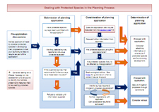 Protected Species Flowchart PDF