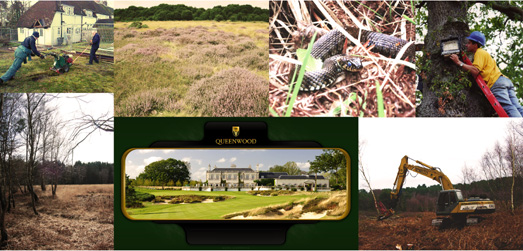 Queenswood - banner