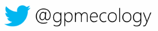 twitter logo