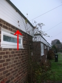 Photo 1 / 1 - Bats found under many Bungalow Fascias