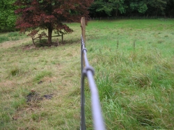 Photo 2 / 2 - 1 month Sheep grazing pressure at Loxley