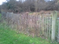 Photo 3 / 4 - Little Pond Old Chestnut Pale Fence, Nov 2013