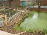 Photo 3 / 9 - Draindown Test 06/02/13