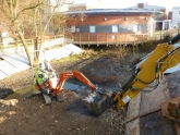 Photo 7 / 9 - Remove leaf-litter 18/02/13