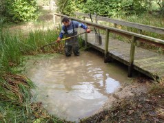 Photo 2 / 2 - After Pond Works Oct 2011
