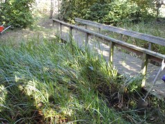 Photo 1 / 2 - Before Pond Works Oct 2011