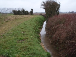 Photo 2 / 2 - Ditch April 2013 post flood management with water-vole latrines and burrow previous summer.