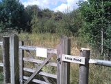 Photo 1 / 3 - Little Pond, 2014
