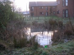 Photo 2 / 2 - Pond at East Surrey Hospital today (March 2012)