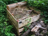 Photo 3 / 3 - Slow-worm - Compost Bin