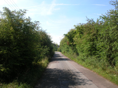 Photo 2 / 2 - Species rich Road side hedge Ox