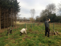 Photo 1 / 4 - Spooners Copse Greenways Planting, Jan 2012