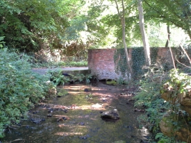 Photo 1 / 2 - Surrey Crayfish Monitoring site