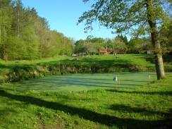 Photo 2 / 2 - GCN Pond at Chiddingfold